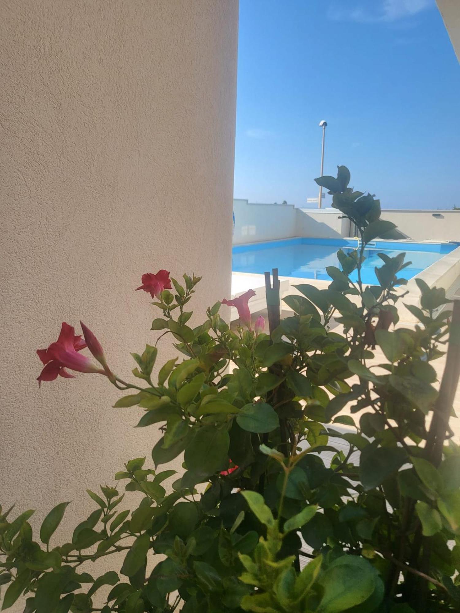 Casa P. Greco Hotel Portopalo Di Capo Passero ภายนอก รูปภาพ
